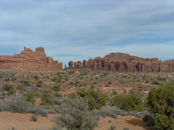DSCF0006