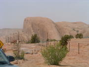 DSCF0019