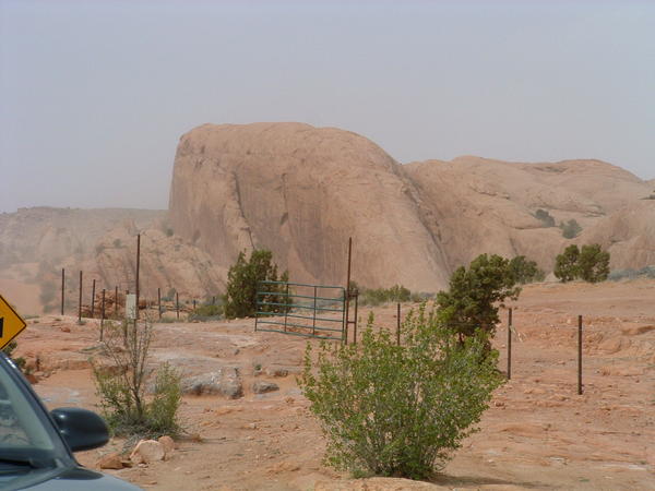 DSCF0019