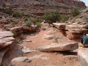 DSCF0021