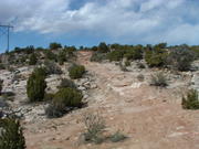 DSCF0039