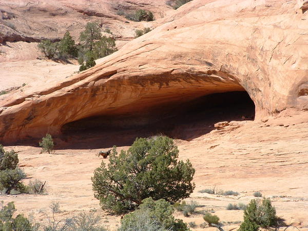DSCF0017