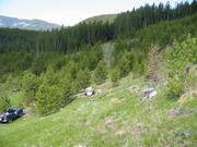115-1586_IMG