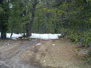 DSCF0005