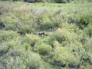 DSCF0005